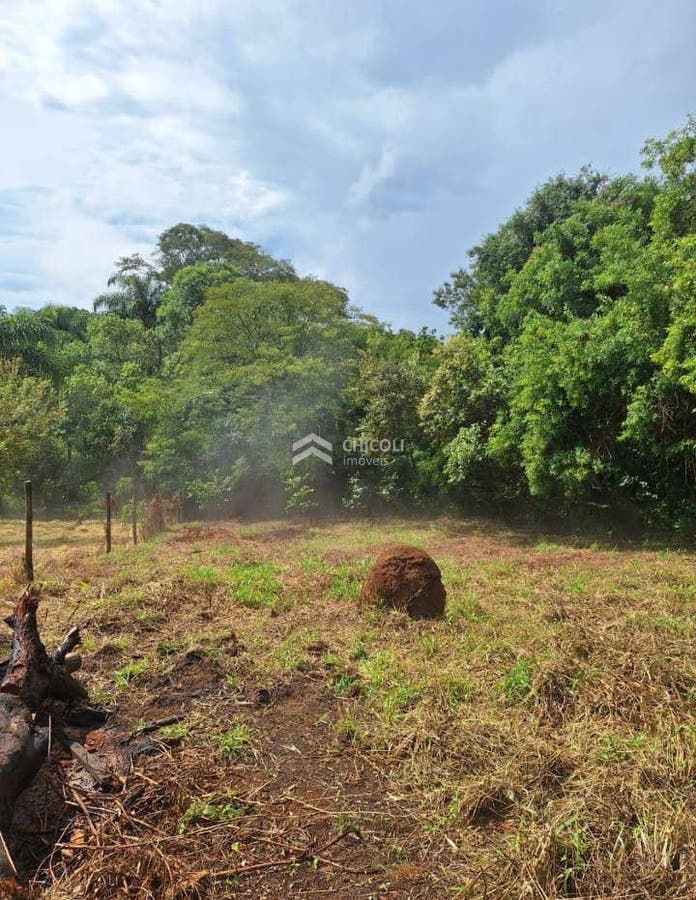 TE0809 - Lote/Terreno - Ibiúna - Lote/Terreno em Colégio, Ibiúna - à venda - Chicoli administração de bens LTDA