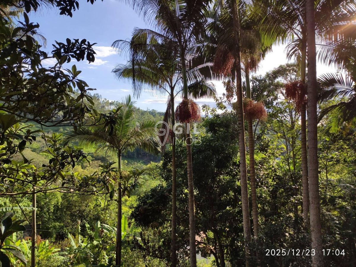 Chácara, 2 quartos, 2000 m² - Foto 45