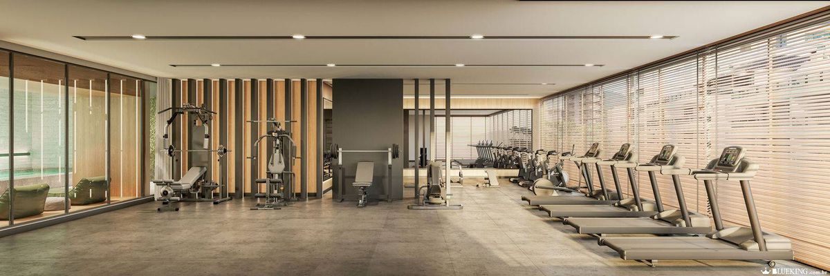 Viva um novo amanhecer no sunny coast - apartamentos com 4 s