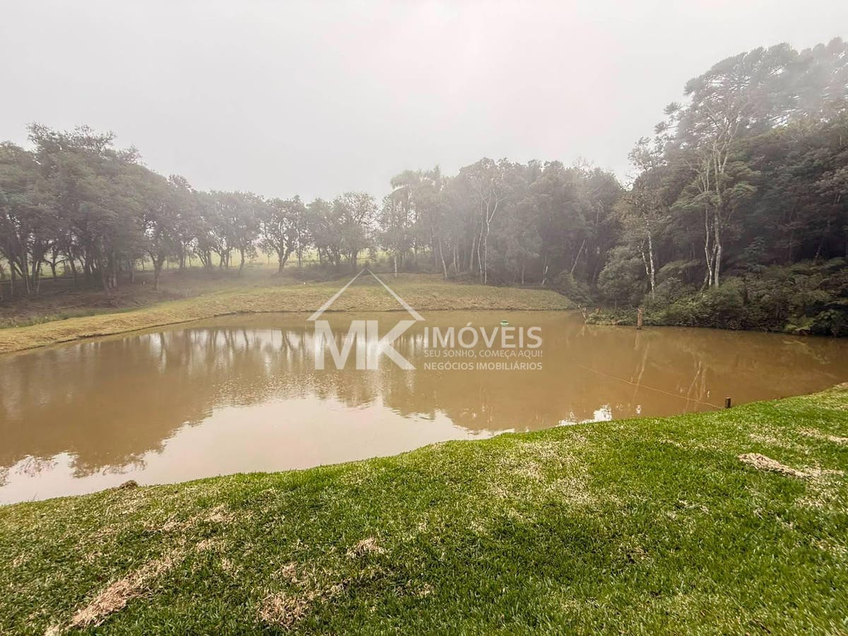 Chácara, 5 quartos, 3 hectares - Foto 6