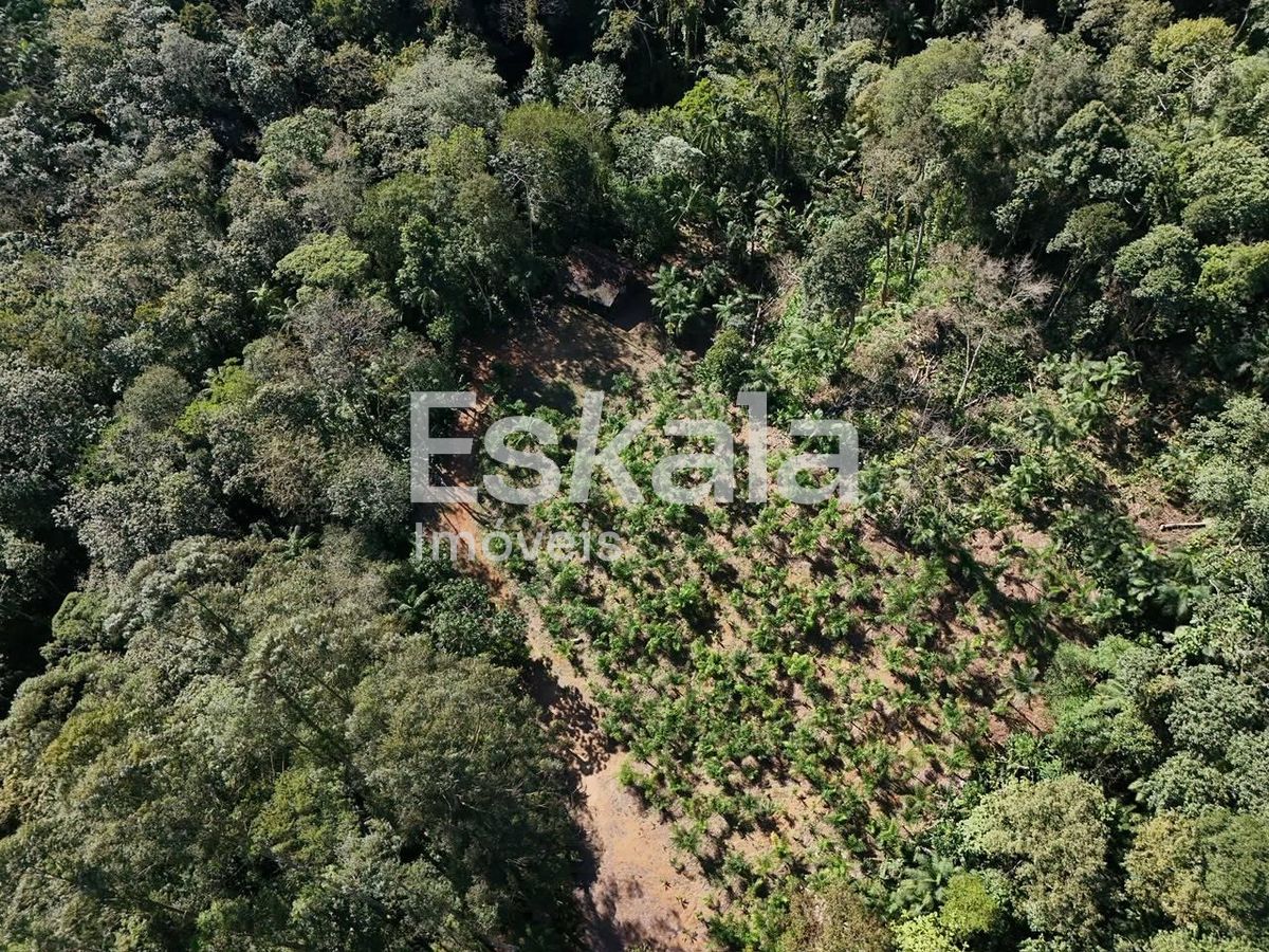 Terreno, 3 hectares - Foto 2