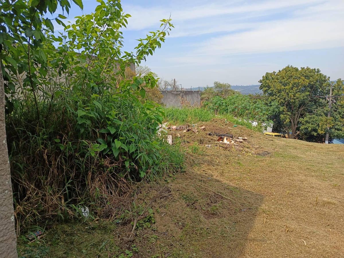 TE0856 - Lote/Terreno - 277m² - Cotia - Lote/Terreno em Jardim Ísis, Cotia - à venda - Chicoli administração de bens LTDA