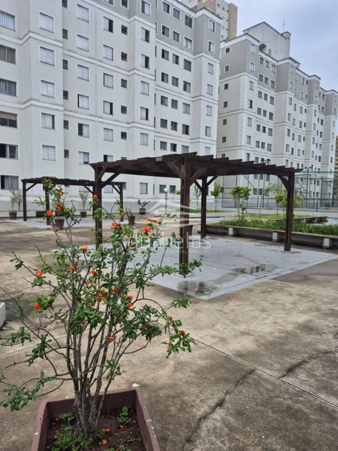 APTO MOBILIADO PRA LOCAÇÃO - Apartamento em Palmeiras de São José, São José dos Campos - para locação - Duabelas Imobiliária