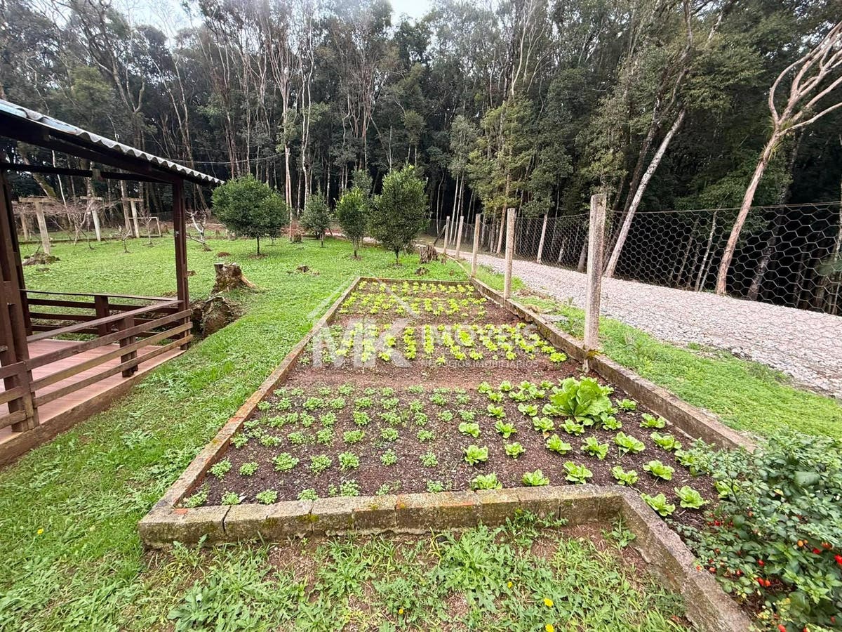 Chácara, 5 quartos, 3 hectares - Foto 11