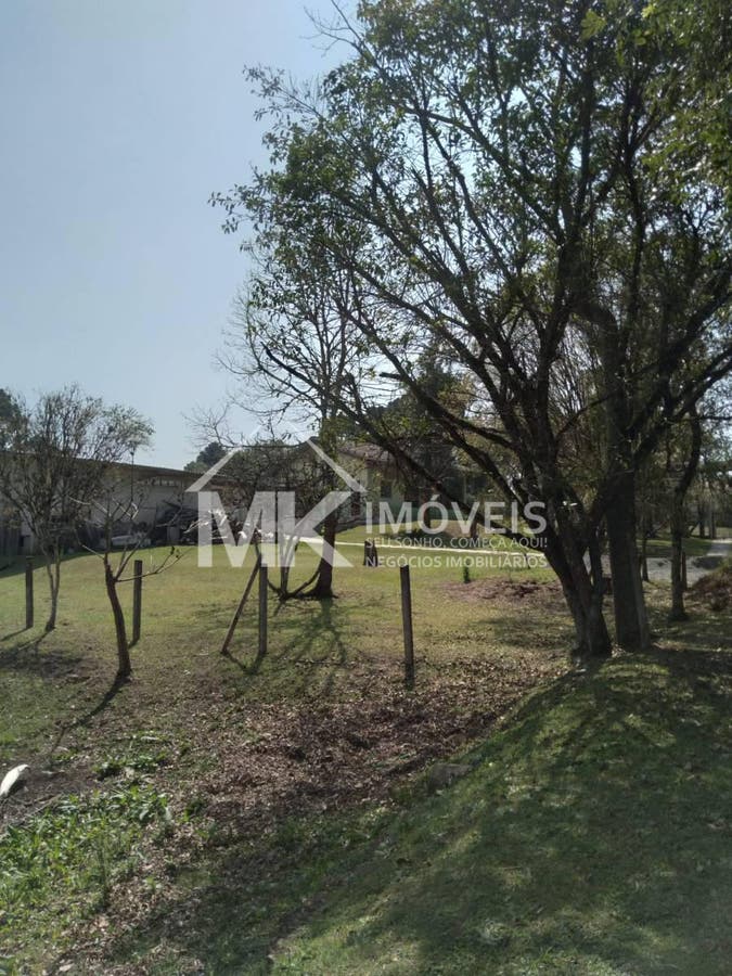 Chácara, 4 quartos, 5000 m² - Foto 15