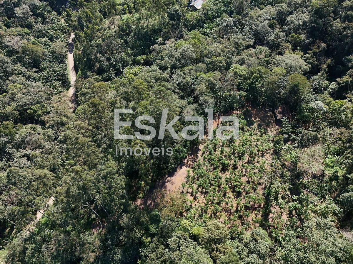 Terreno, 3 hectares - Foto 4