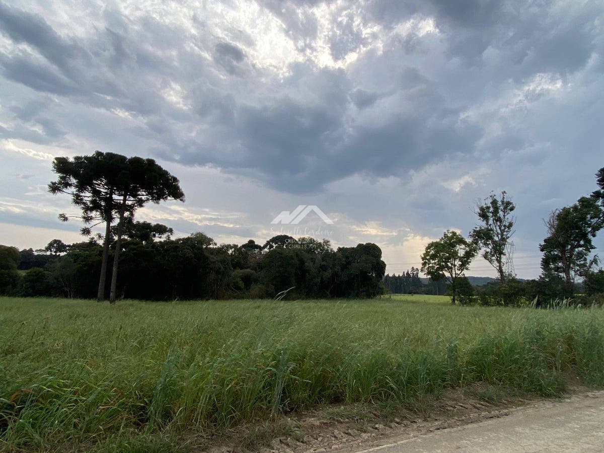 Terreno Rural - Terreno em Faxinal dos Ilheus, São Mateus do Sul - à venda - Salvielli Cordeiro Corretora de Imóveis