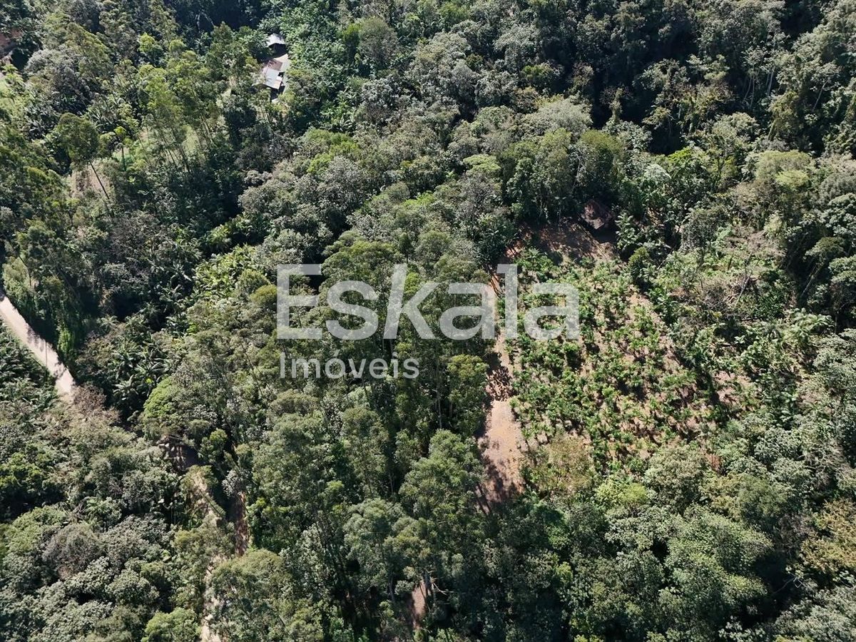 Terreno, 3 hectares - Foto 6