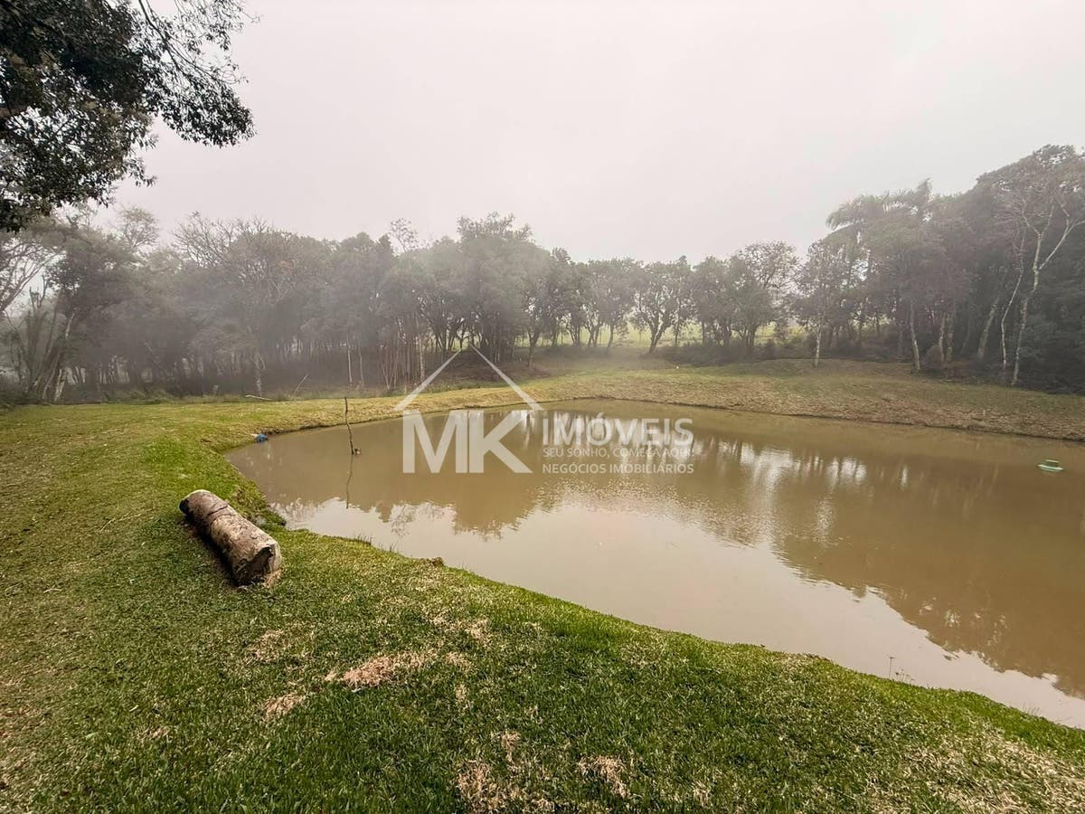 Chácara, 5 quartos, 3 hectares - Foto 14