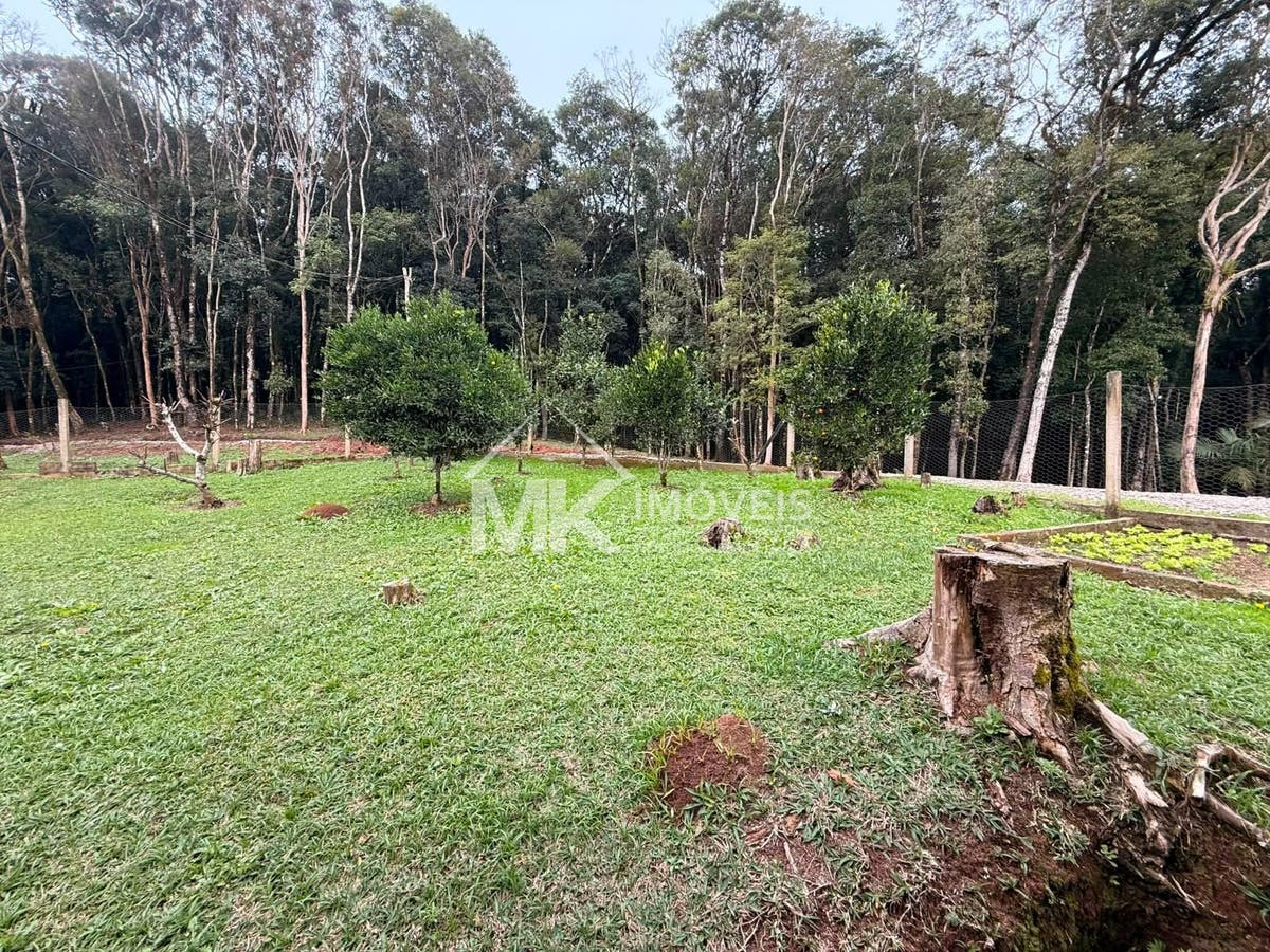 Chácara, 5 quartos, 3 hectares - Foto 7
