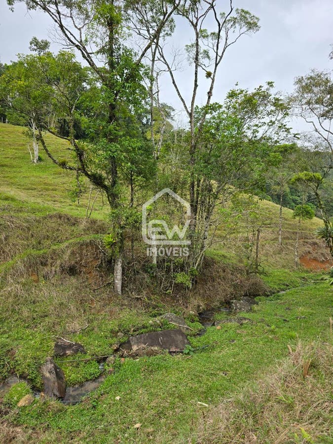 Sítio, 3 quartos, 9 hectares - Foto 14