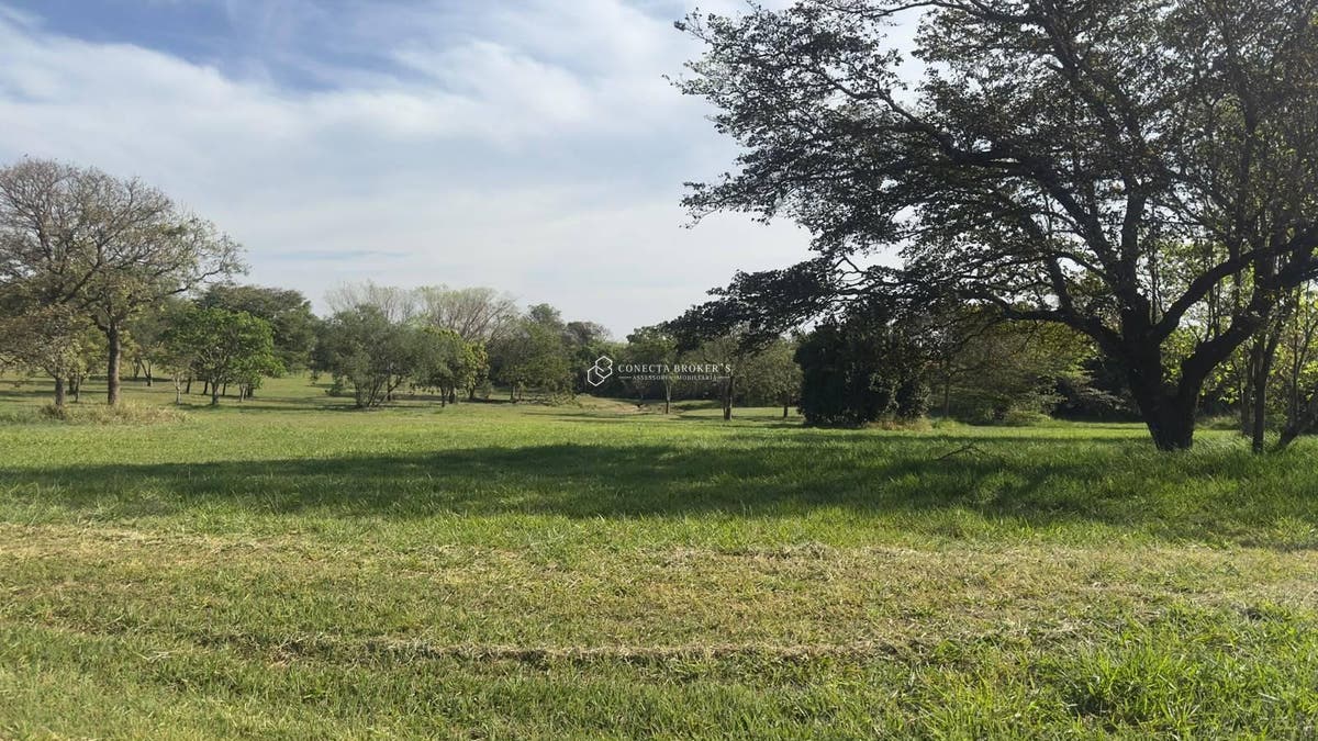 Terreno - Foto 7