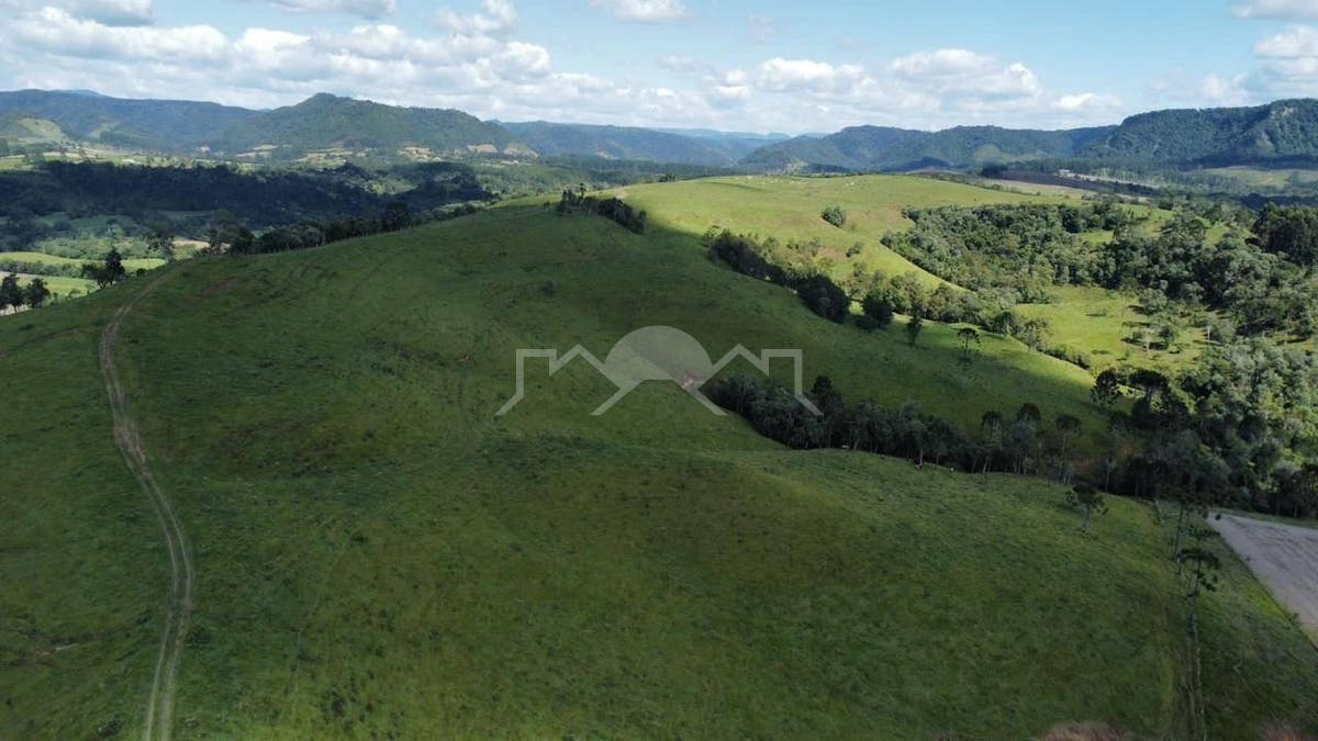 Terreno, 138 hectares - Foto 14