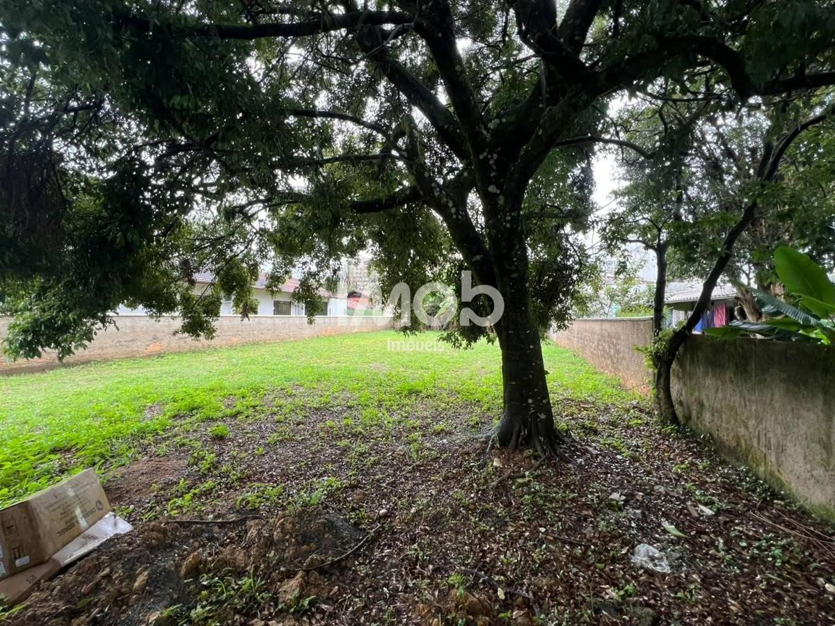 Terreno, 403 m² - Foto 6
