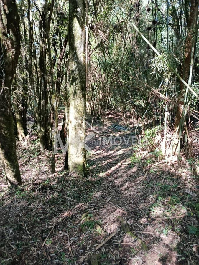 Chácara, 2 hectares - Foto 16