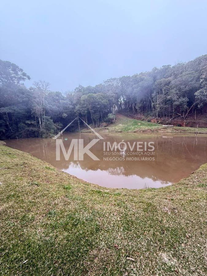 Chácara, 5 quartos, 3 hectares - Foto 20