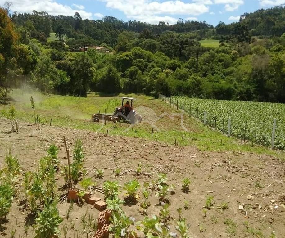 Chácara, 1 quarto, 5040 m² - Foto 1
