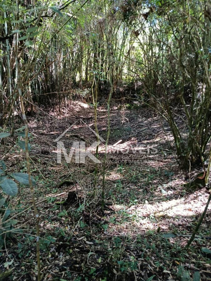 Chácara, 2 hectares - Foto 12