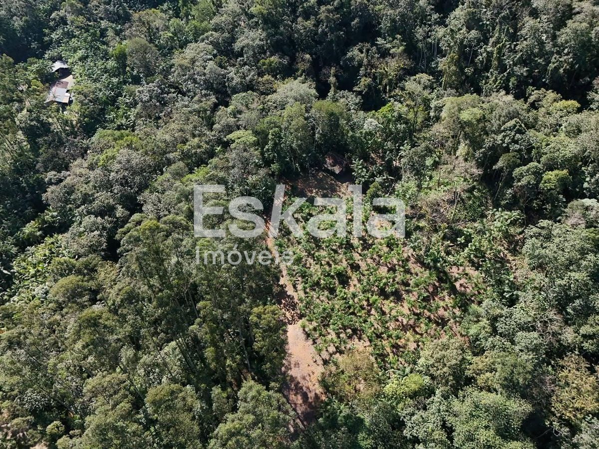 Terreno, 3 hectares - Foto 1