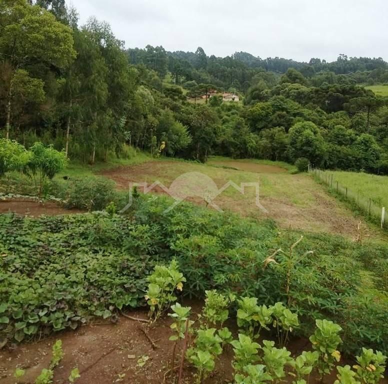 Chácara, 1 quarto, 5040 m² - Foto 9