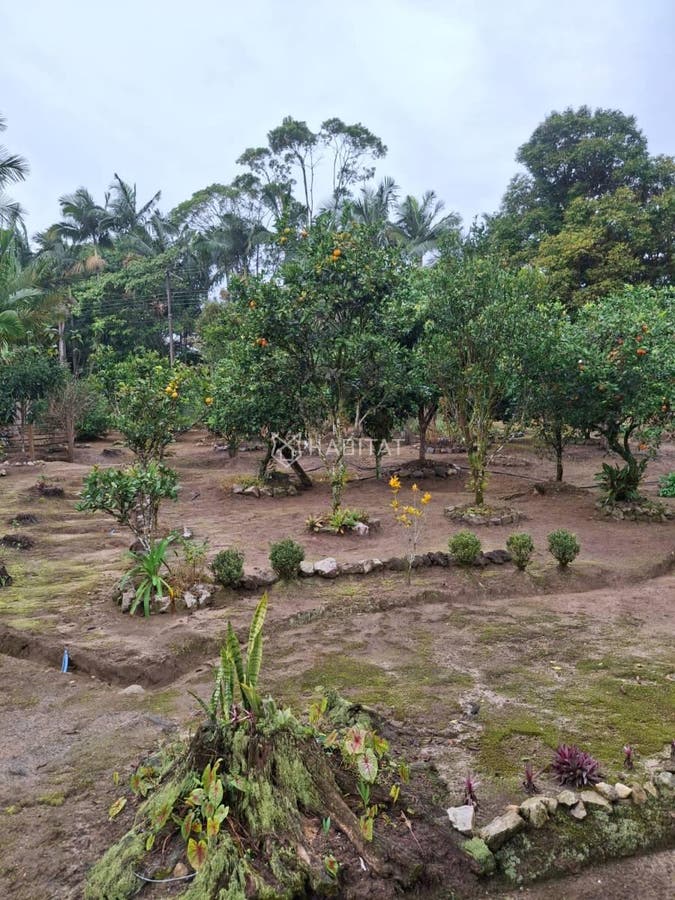 Sítio em São João do Itaperiú - Chácara em São João do Itaperiú - à venda - Habitat Negócios Imobiliários