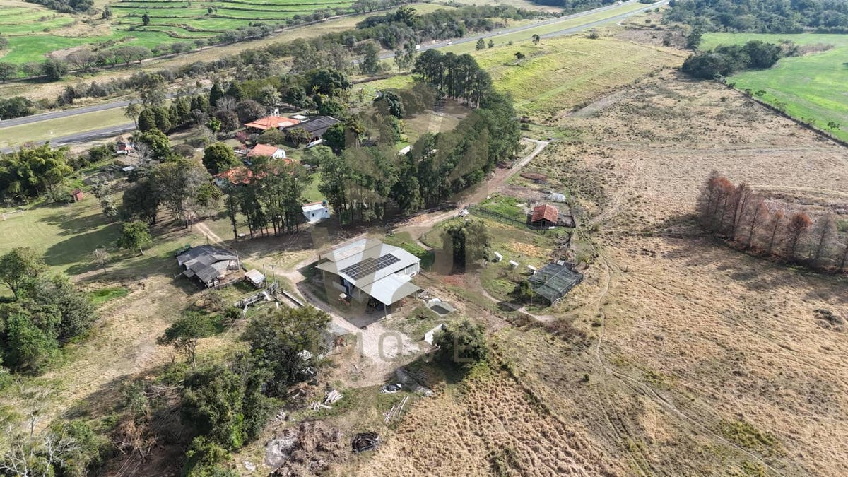 Sítio com 6.2 alqueires paulista às margens da Rod. Castelo Branco – Porangaba/SP - Sítio em Centro, Bofete - à venda - V2F IMÓVEIS LTDA
