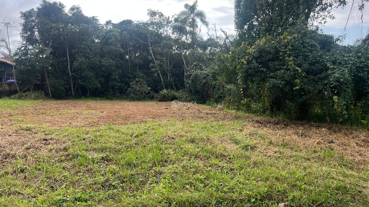 Terreno, 596 m² - Foto 2