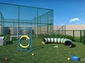 Pet place