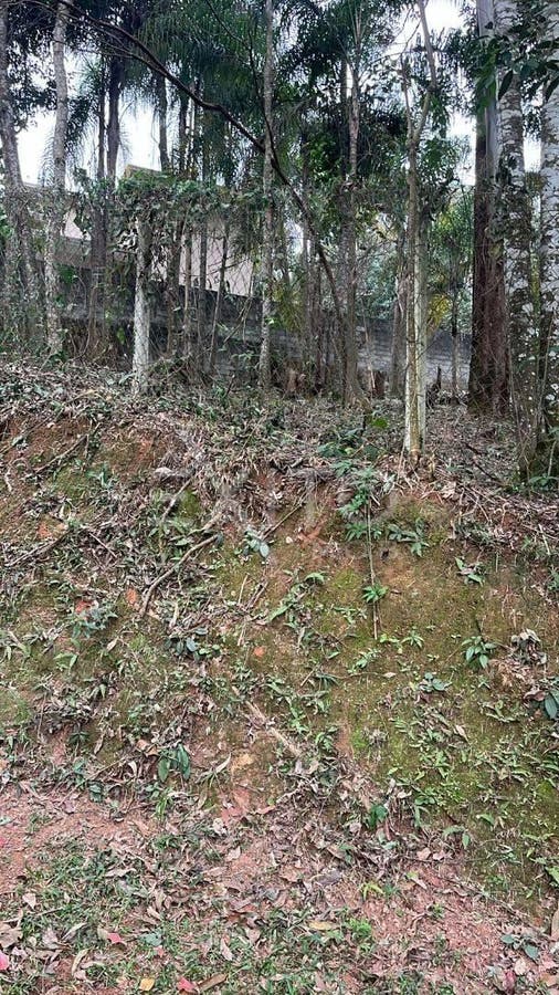 Terreno, 1016 m² - Foto 2