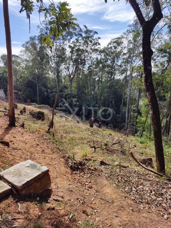Terreno, 1476 m² - Foto 4