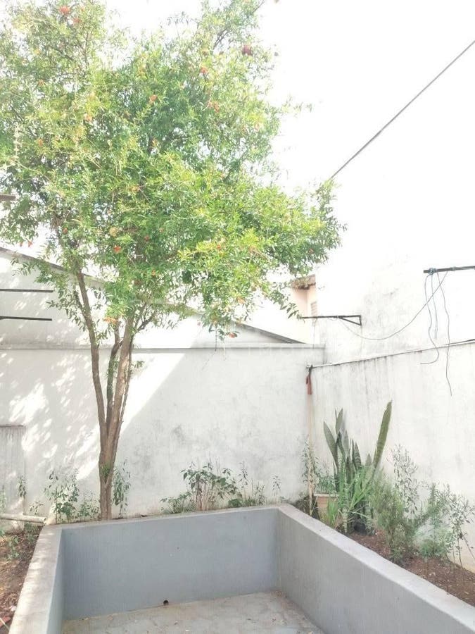 Casa, 3 quartos, 181 m² - Foto 112