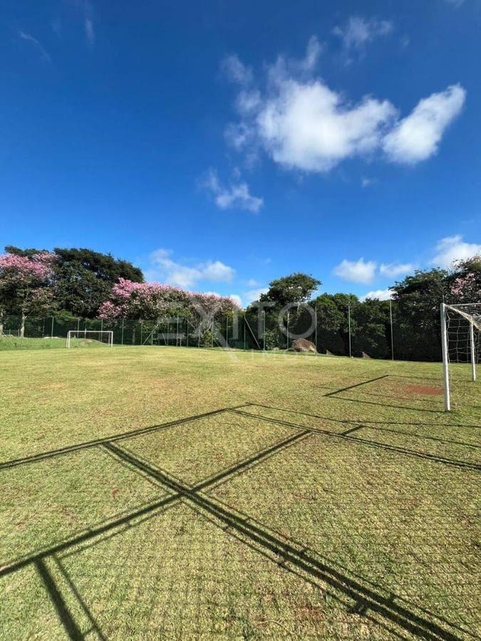 Terreno, 1000 m² - Foto 7