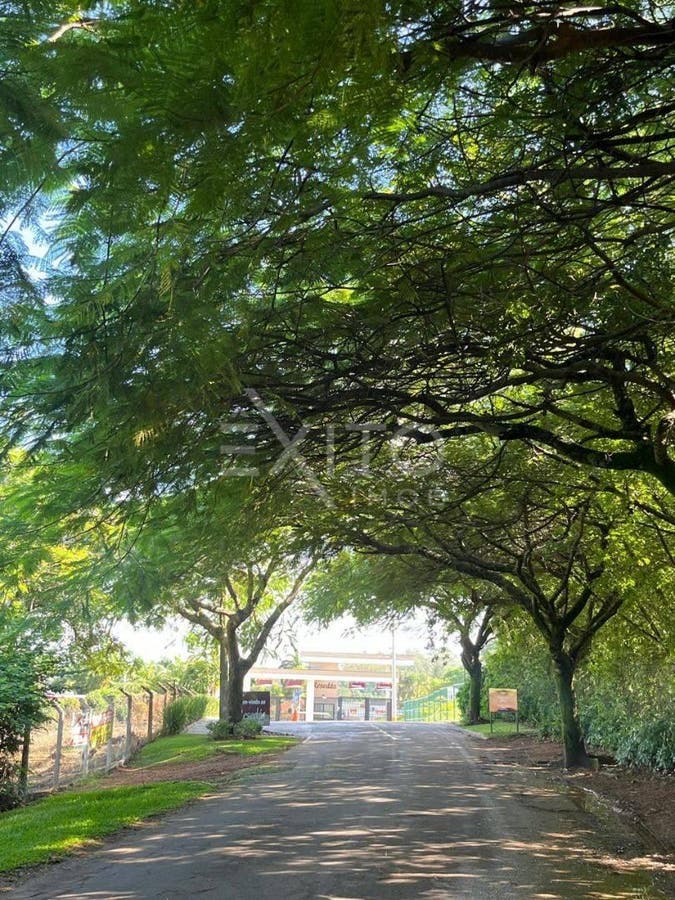 Terreno, 1000 m² - Foto 6