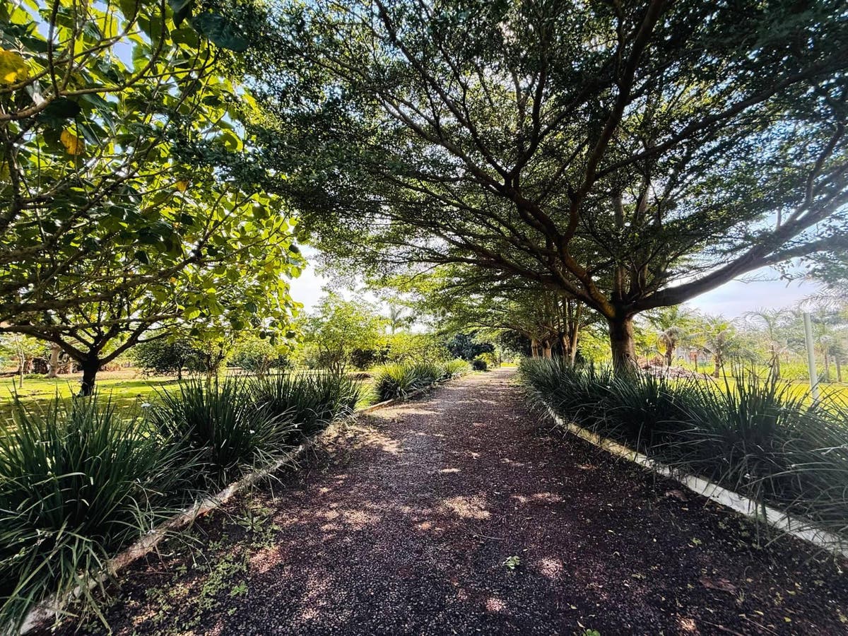 CHÁCARA Á VENDA EM TRÊS LAGOAS COM CASA E PISCINA- FOZ DO IGUAÇU/PR