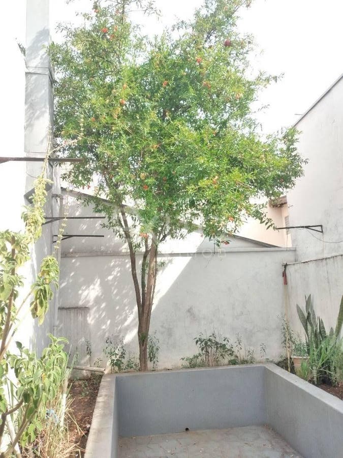 Casa, 3 quartos, 181 m² - Foto 106