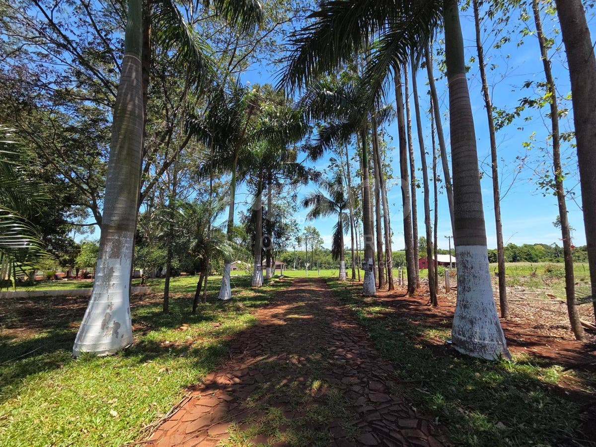 CHÁCARA A VENDA NA VILA VITORASSI EM SANTA TEREZINHA DE ITAIPU - PR