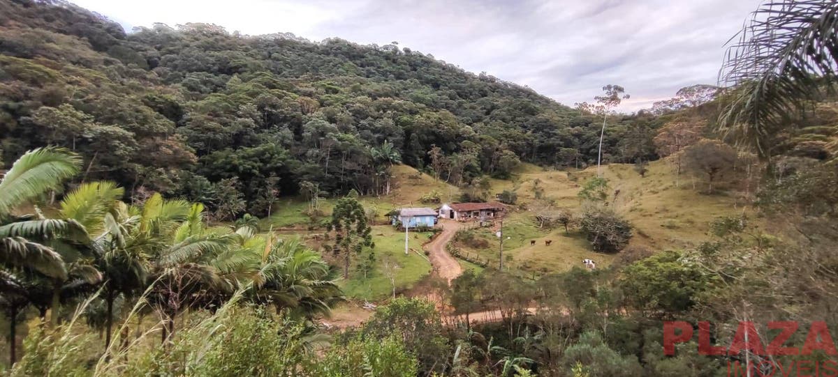 Propriedade Rural à Venda em Antônio Carlos/SC – 21,5 ha com Nascentes, Rio e Infraestrutura - Sítio em Antônio Carlos - à venda - Plaza Imóveis