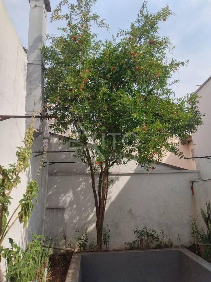 Casa, 3 quartos, 181 m² - Foto 110