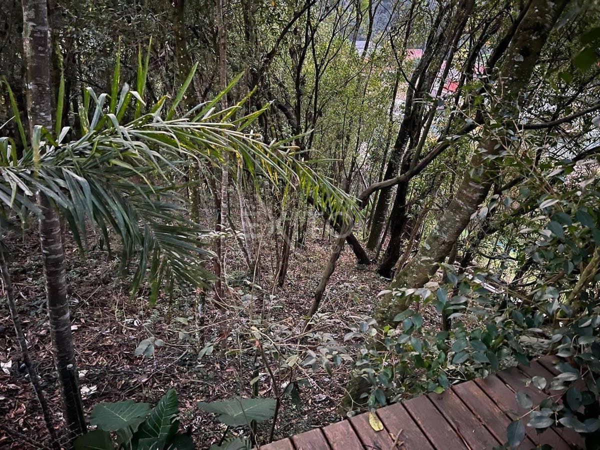 Terreno, 1330 m² - Foto 6