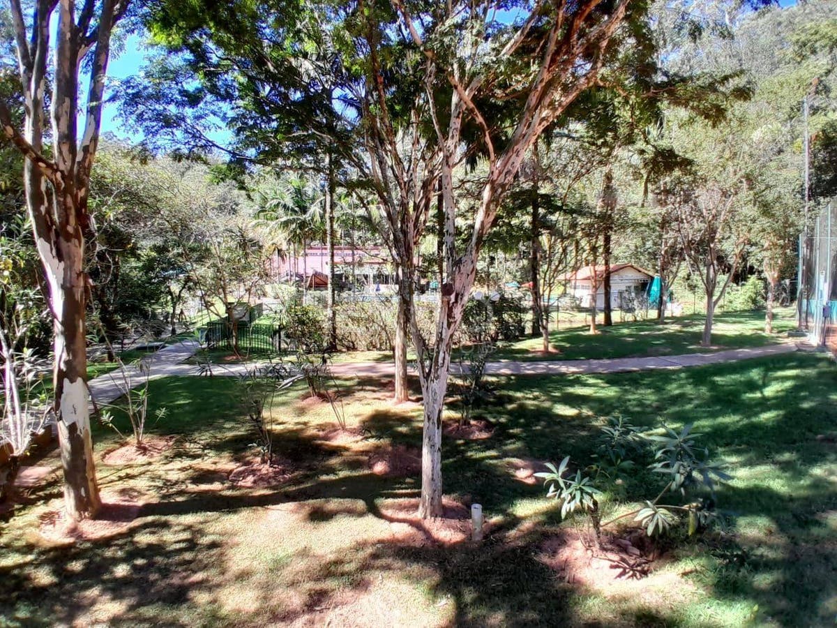 Casa, 4 quartos, 304 m² - Foto 72