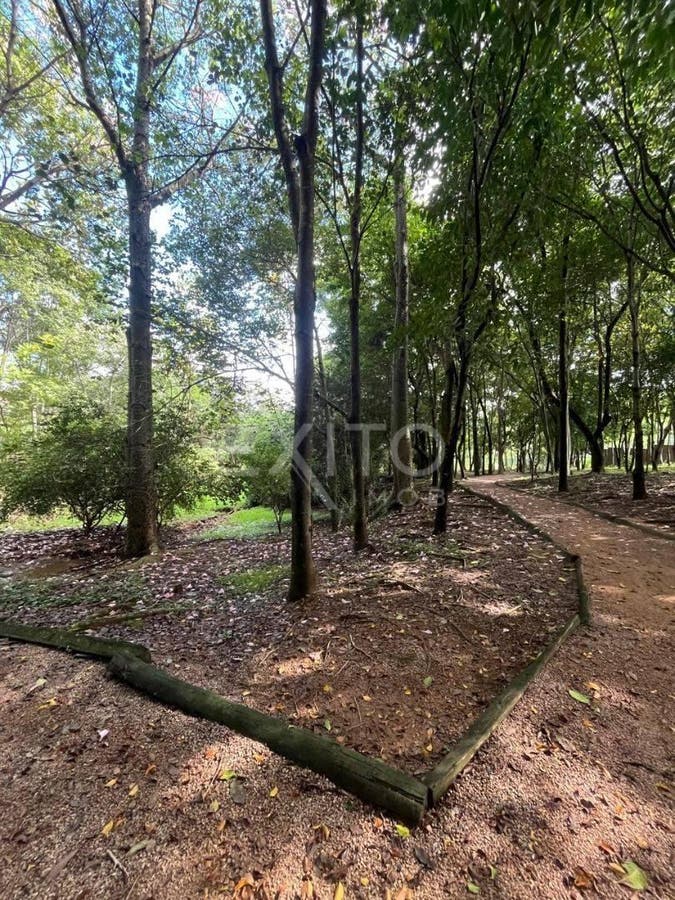 Terreno, 1000 m² - Foto 17