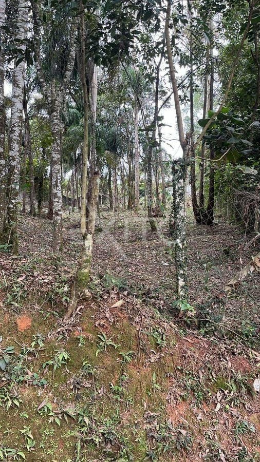 Terreno, 1016 m² - Foto 4