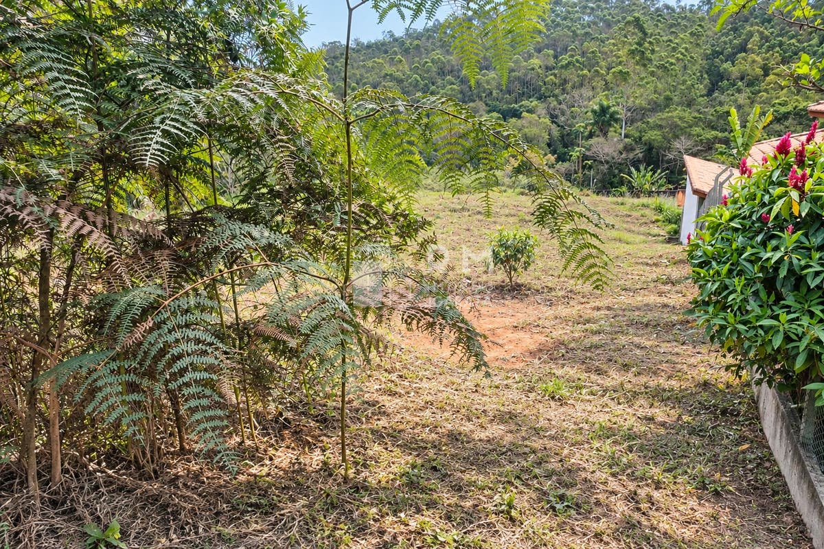 Terreno, 1500 m² - Foto 3
