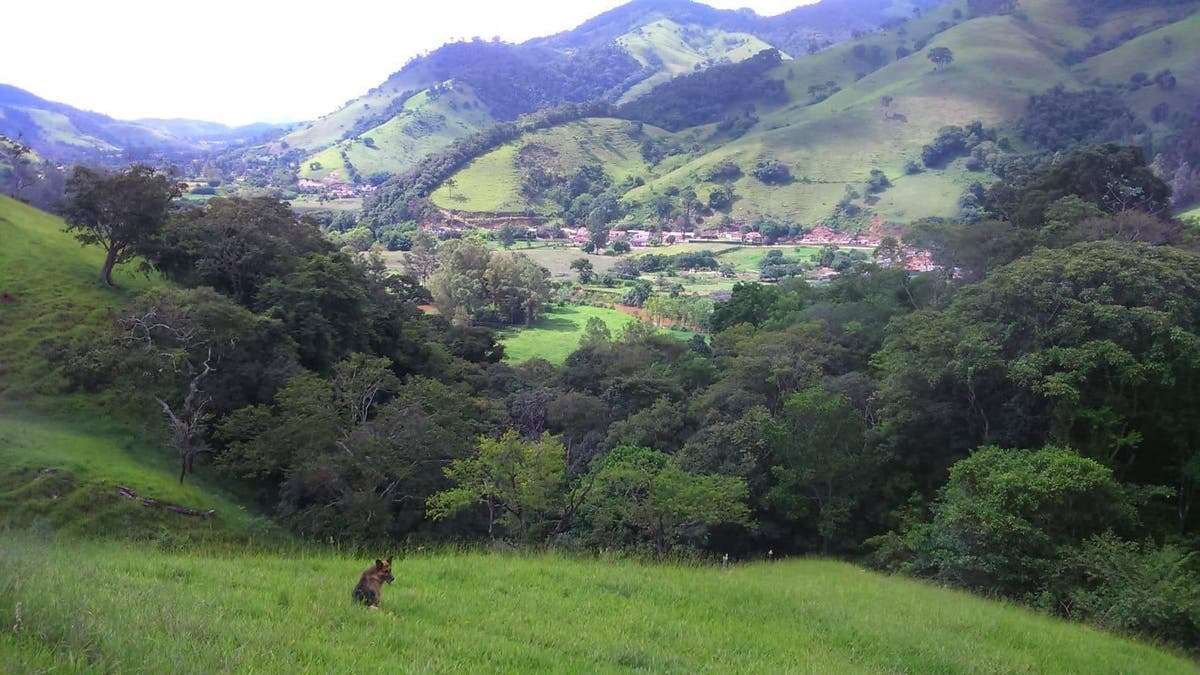 Sítio com 4 dormitórios à venda, 23171 m² por R$ 590.000 - Área Rural de Itajubá - Itajubá/MG - Sítio em Itajubá - à venda - Colibri Imóveis Ltda