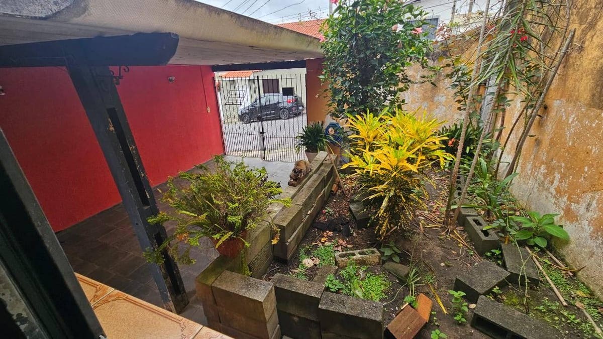 Varanda com plantas, muro listrado