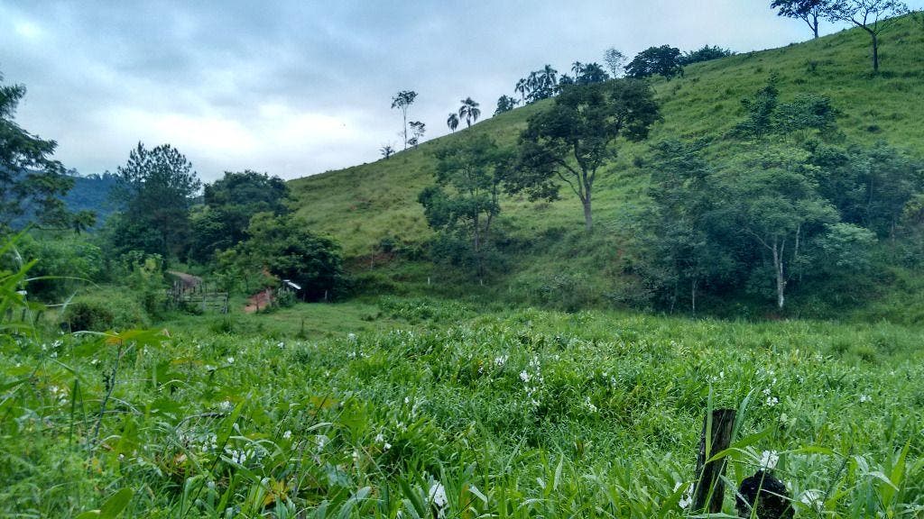 Sítio à Venda, Ribeirão Grande - Pindamonhangaba - Sítio em Ribeirão Grande, Pindamonhangaba - à venda - EDSON DERRICO IMOVEIS LTDA