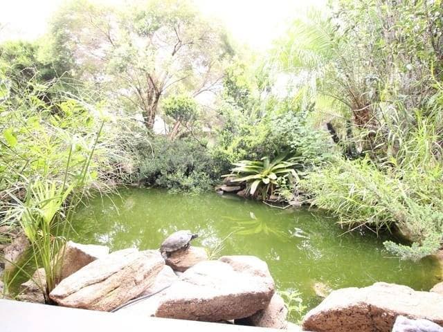 Chácara de 1000m² - Solário do Mantiqueira | Localização Privilegiada - Chácara em Solário da Mantiqueira, São João da Boa Vista - à venda - Helena Imóveis