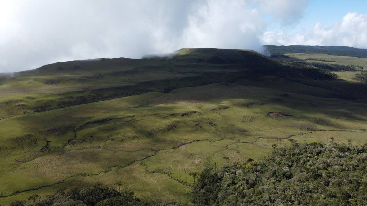Fazenda Curral Falso - Fazenda em Rural, Bom Jardim da Serra - à venda - Mariano Imóveis