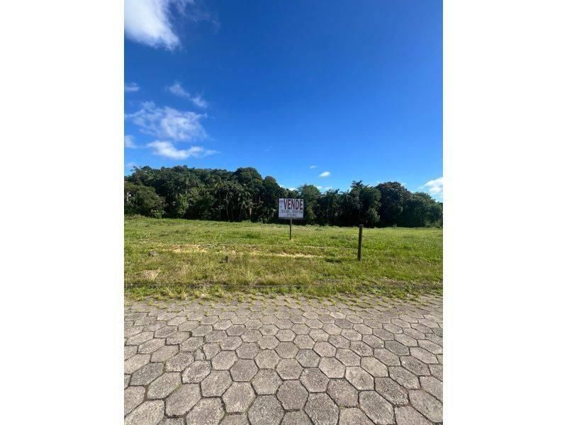Lote/Terreno à Venda, Coloninha - Gaspar - Lote/Terreno em Coloninha, Gaspar - à venda - Tomio Imoveis Ltda