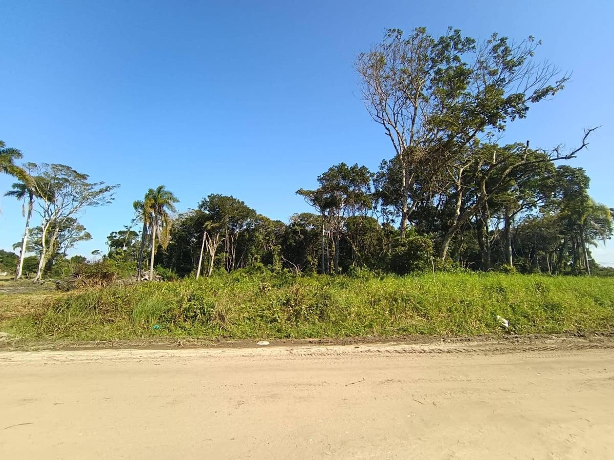 Lote/Terreno, PRAIA DO ERVINO - São Francisco do Sul - Lote/Terreno em PRAIA DO ERVINO, São Francisco do Sul - à venda - APA ADMINISTRADORA DE BENS LTDA